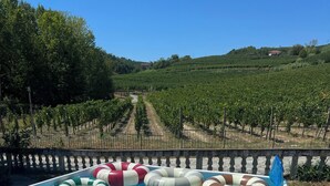 Une piscine avec des bouées gonflables et, en arrière-plan, une vue sur des vignes.