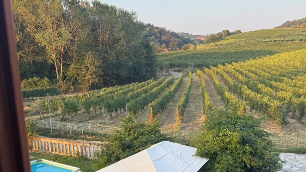 Un espace extérieur aménagé avec une piscine, des sièges et une vue sur un vignoble.