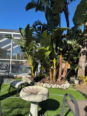 Terrace/patio - This special 3-bedroom house is near everything shopping and restaurants (Port Charlotte)