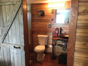 Hair dryer, bidet, towels, soap