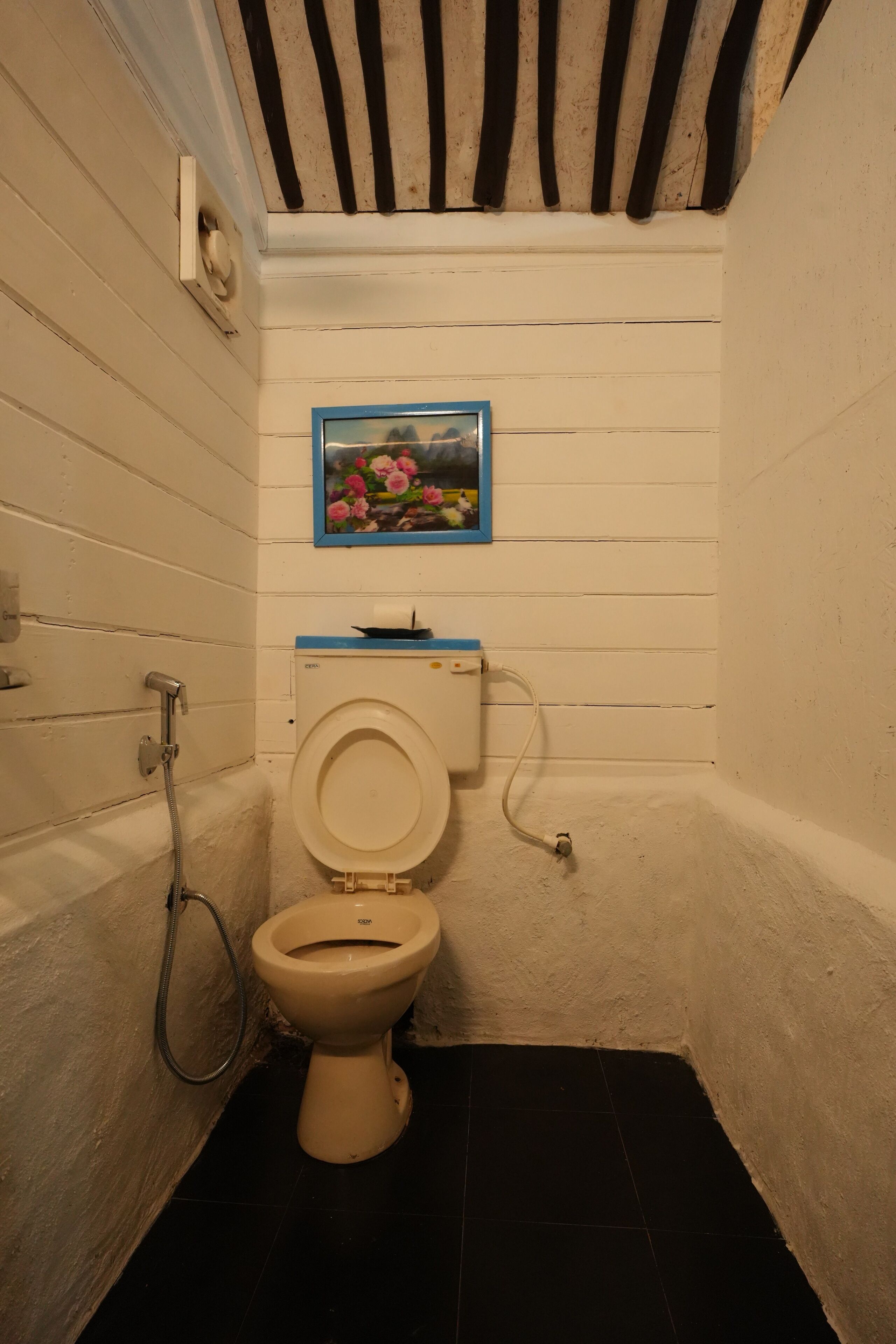 A small, compact bathroom with a toilet, a shower, and a picture on the wall.