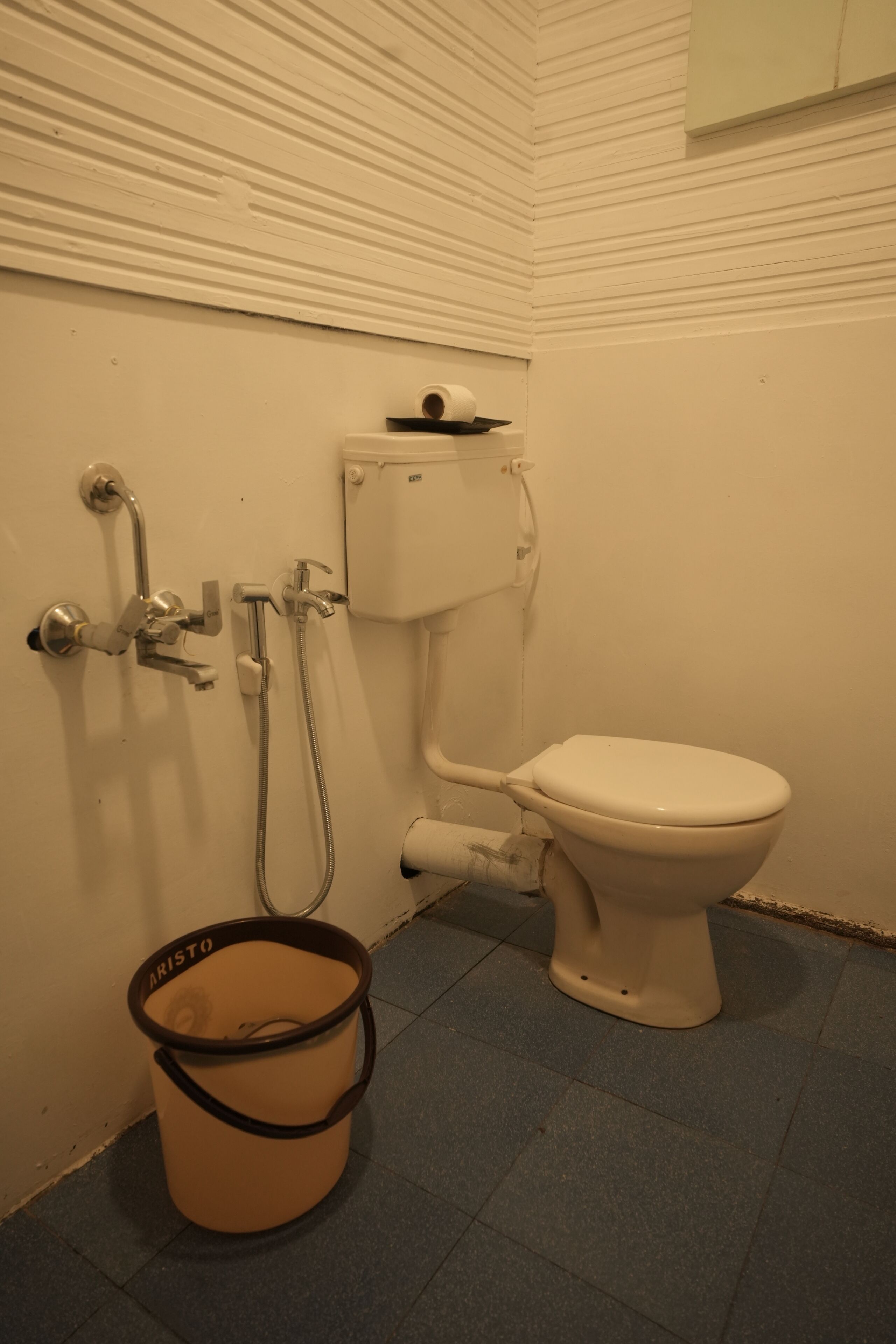 A bathroom with a toilet, a shower, and a bucket.