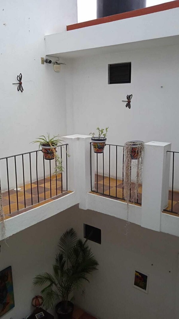 Interior - Hotel la Casa de las Libélulas (Guadalajara)