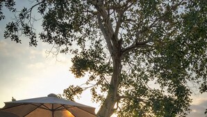 A courtyard with a fire pit, outdoor seating, and a large umbrella structure.