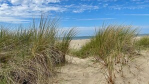 Uma praia com dunas de areia e grama alta.