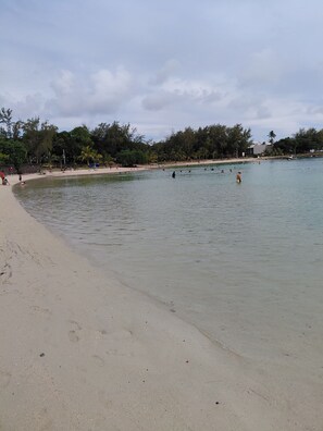 A beach with clear water, sandy shore, and palm trees.
