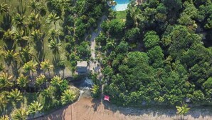 An aerial view of a coastal property with a swimming pool, dense greenery, and a beach.