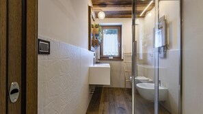 Shower, hair dryer, bidet, towels