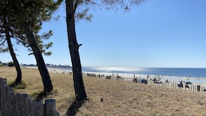 Une plage avec une clôture en bois, des arbres et un ciel bleu dégagé.