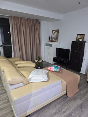 TV - Burwood 2 rooms APT$ close Olympic park&CBD (Burwood)