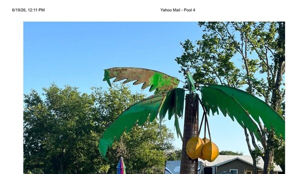Una terraza de madera con piscina, sillas y una palmera.