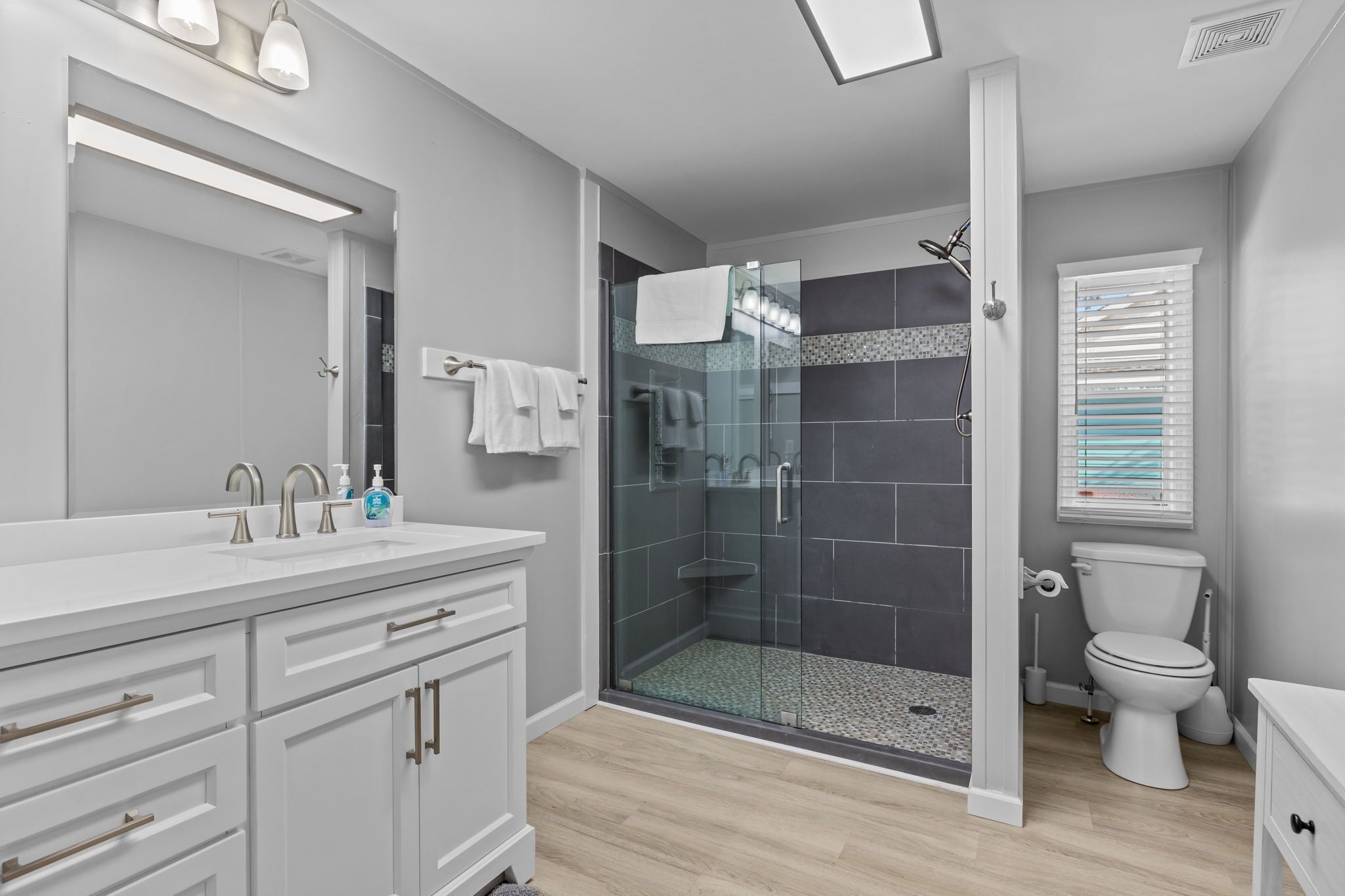 Shower, hair dryer, towels