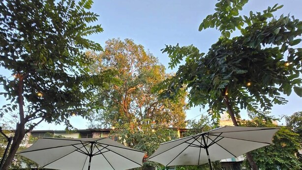 Un área de estar al aire libre con mesas y sillas, rodeada de árboles y sombrillas.