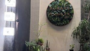 Una zona de recepción con un adorno circular en la pared, plantas en macetas y una escalera.