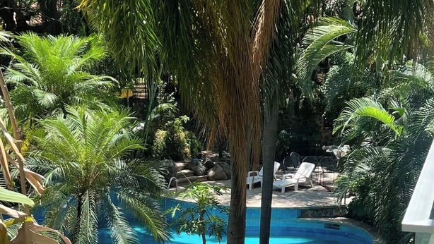 A private pool surrounded by tropical plants and rocks, with a wooden deck and lounge chairs.