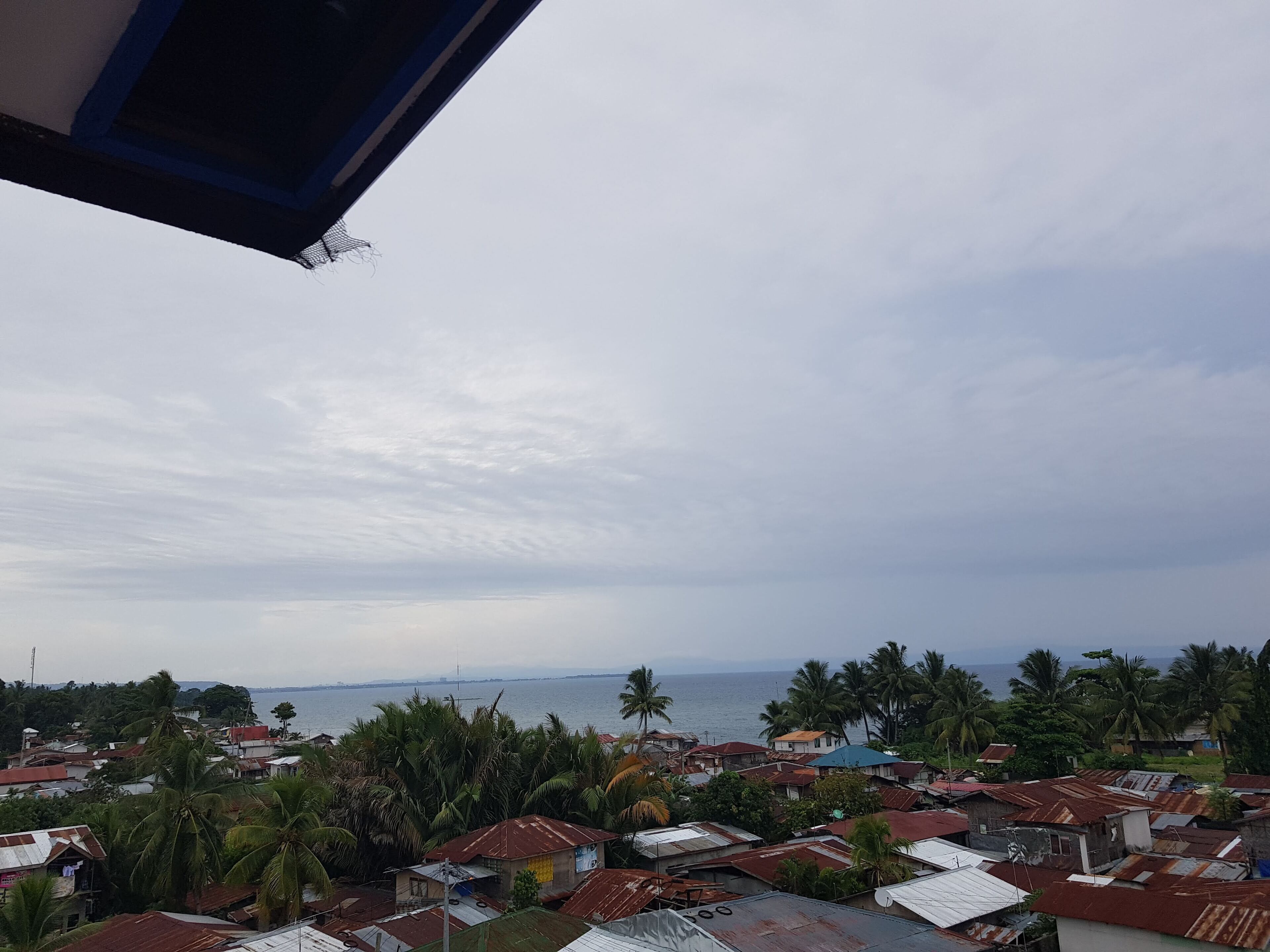 Un quartier résidentiel en bord de mer, avec des maisons, des palmiers et une vue sur l’océan.