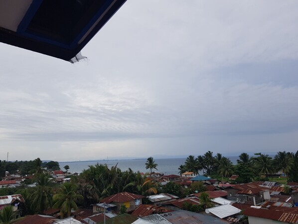 A coastal residential area with houses, palm trees, and a view of the sea.