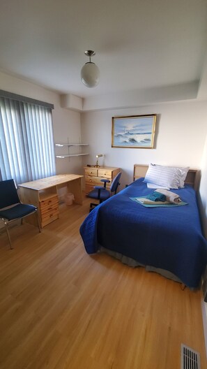 Superior Single Room, Garden View | Desk, laptop workspace, soundproofing, free WiFi - Pells Hostel (Regina)