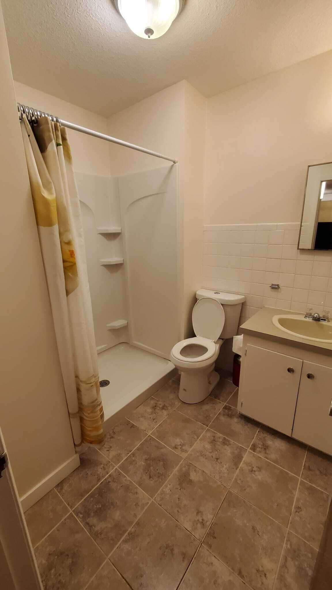 A bathroom with a shower, toilet, sink, and a mirror.
