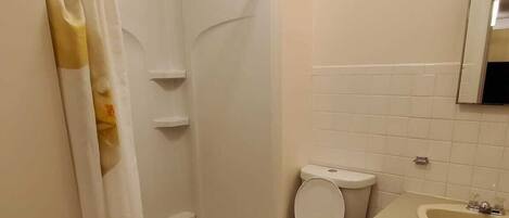 A bathroom with a shower, toilet, sink, and a mirror.