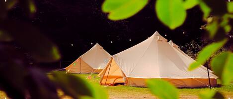 المنطقة المحيطة بالمنشأة