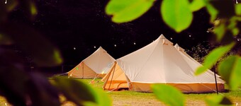 Edinburgh Festival Glamping - Holyrood Hide