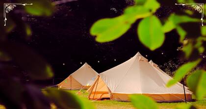Edinburgh Festival Glamping - Holyrood Hide
