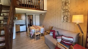 TV - 100m from ski slopes, 2nd floor, balcony, tv, ski locker, 45m², Auris en Oisans (Auris)