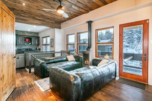 Televisión, chimenea y libros