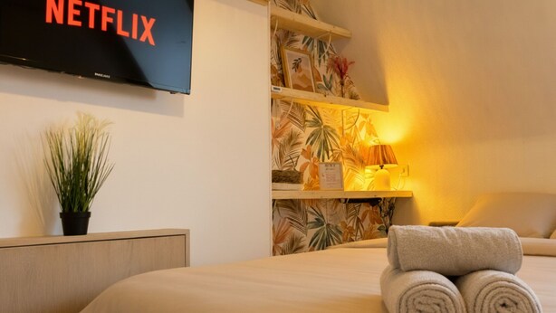 Habitació d'hotel amb un llit, una televisió penjada a la paret que mostra el logo de Netflix, una petita planta, una estant amb paper de paret tropical i una làmpada de nit.