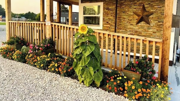 Un bâtiment en bois doté d’un porche abrité, d’une décoration en forme d’étoile sur le mur et de divers pots de fleurs aux couleurs vives.