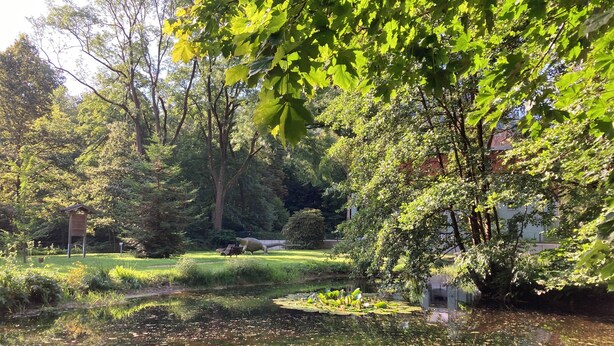 Un parc paisible avec un étang, des bancs et un petit bâtiment.