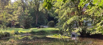 Quiet, cozy apartment in the center of Bad Tabarz