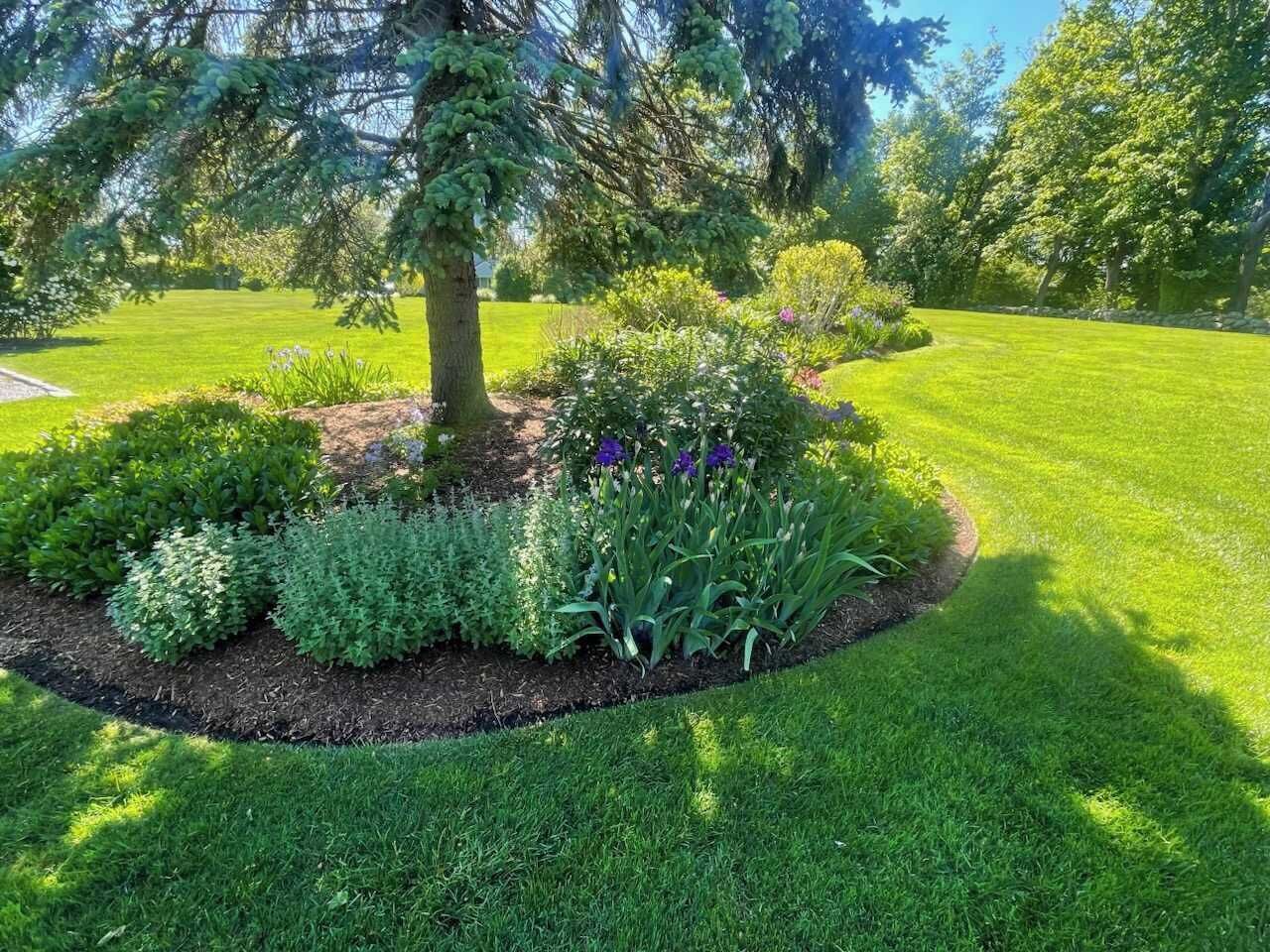 Jardines del alojamiento