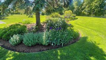 Jardines del alojamiento