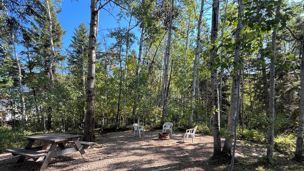 A forest campsite with a picnic table and two white plastic chairs.