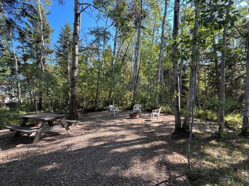 Swan - Camper at Sunset Bay
