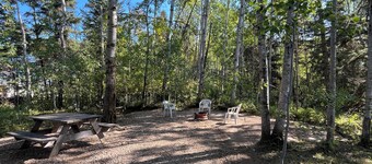 Swan - Camper at Sunset Bay