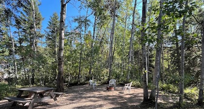 Swan - Camper at Sunset Bay