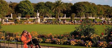 Overnattingsstedets uteområder