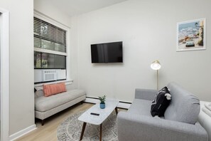 TV - Centrally Located Basic Studio (Boston)