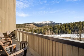 Property grounds - Beaver Run Ski-In/Out|Stunning Mtn Views|Amenities (Breckenridge)