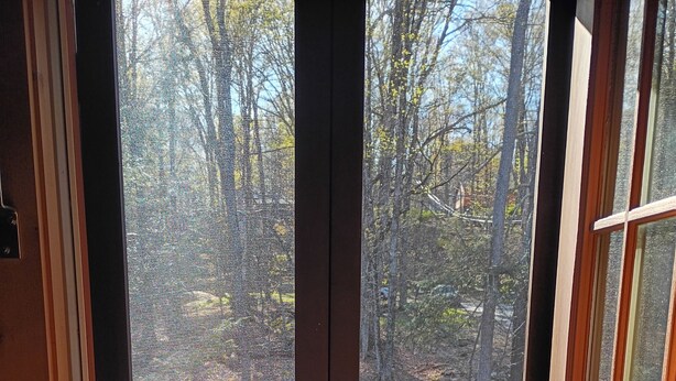 A view through a window with a wooden frame and a metal screen, overlooking a deck and trees.