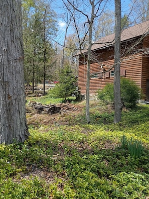 A wooden cabin surrounded by trees and greenery.