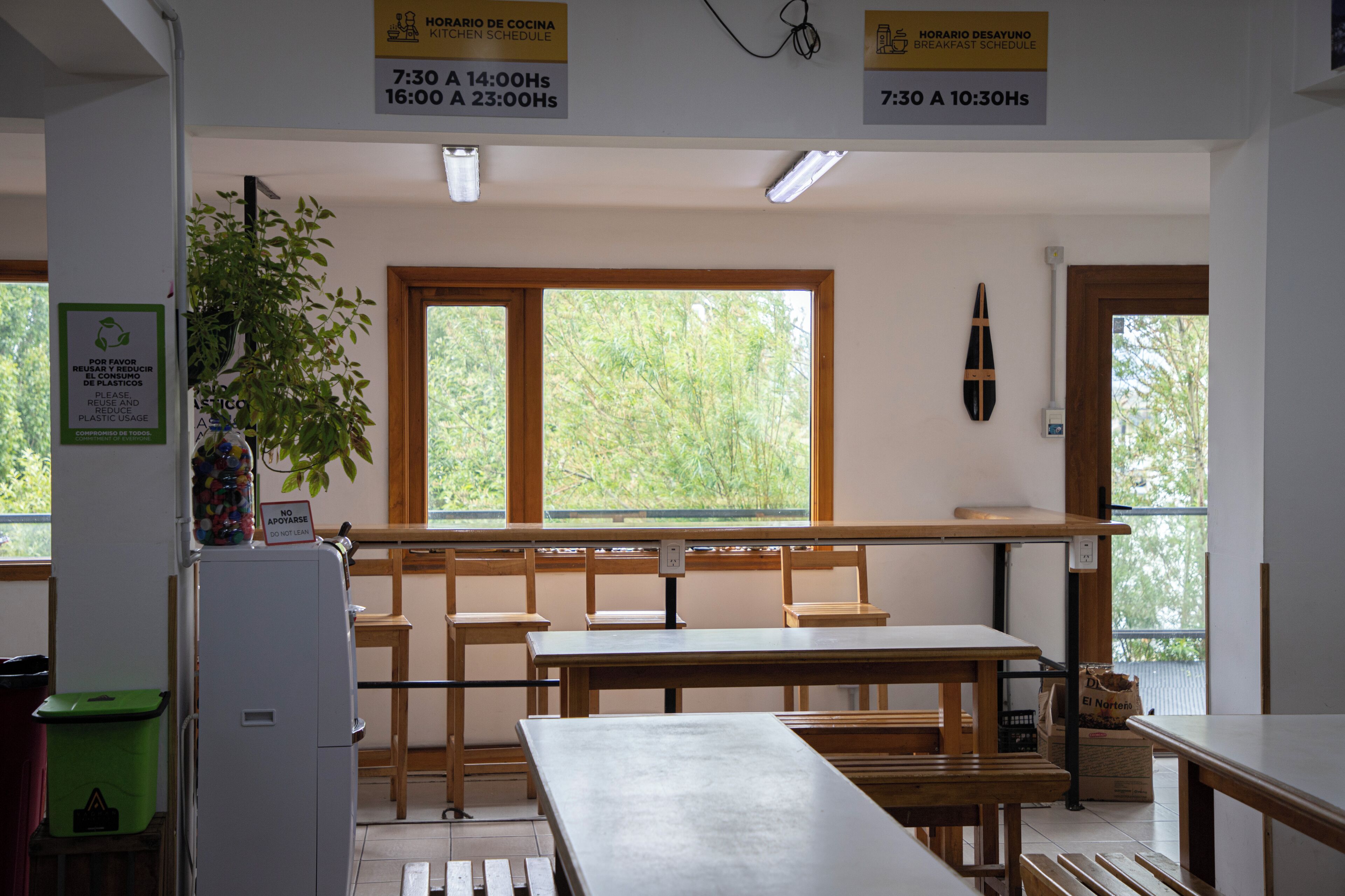 Full-sized fridge, microwave, cleaning supplies