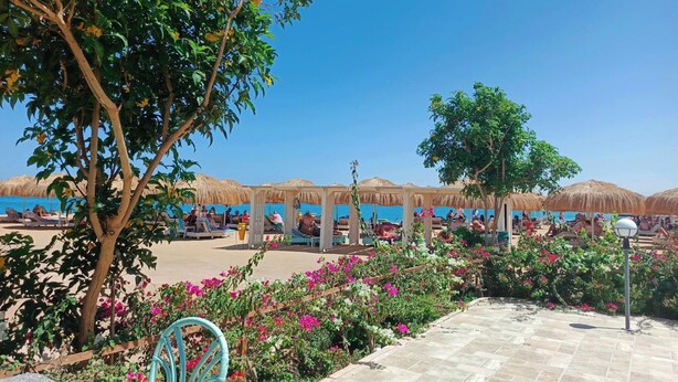 Un complexe hôtelier en bord de mer, doté de cabanes à toit de chaume, d’un espace piscine et d’une végétation luxuriante.