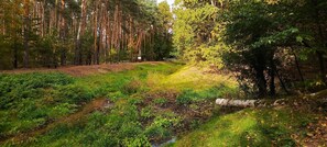 Miscellaneous - La Casa de Magdasa (Warsaw)