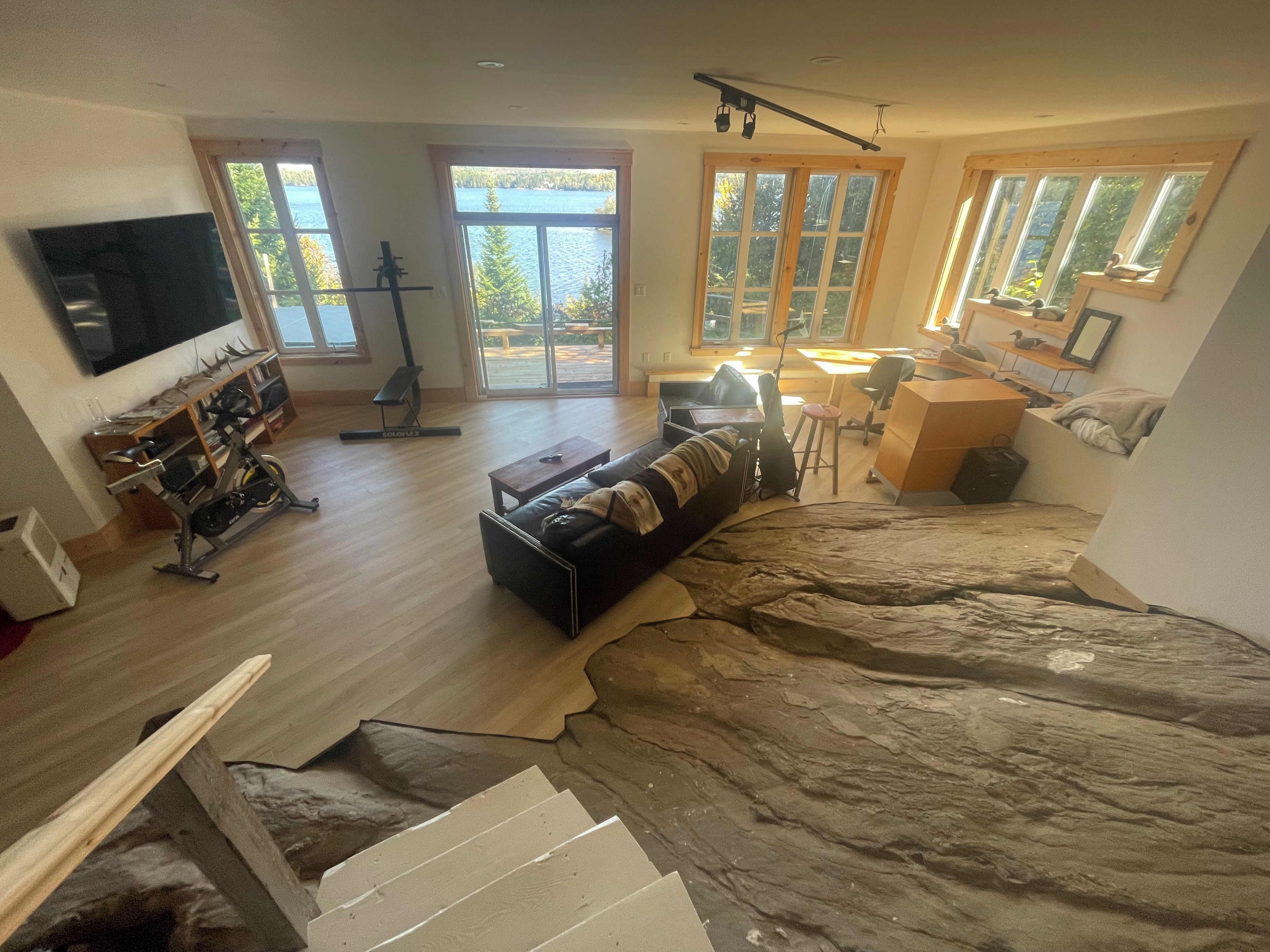 Un salon comprenant un canapé, un téléviseur, un tapis de course et une grande fenêtre donnant sur un paysage naturel.