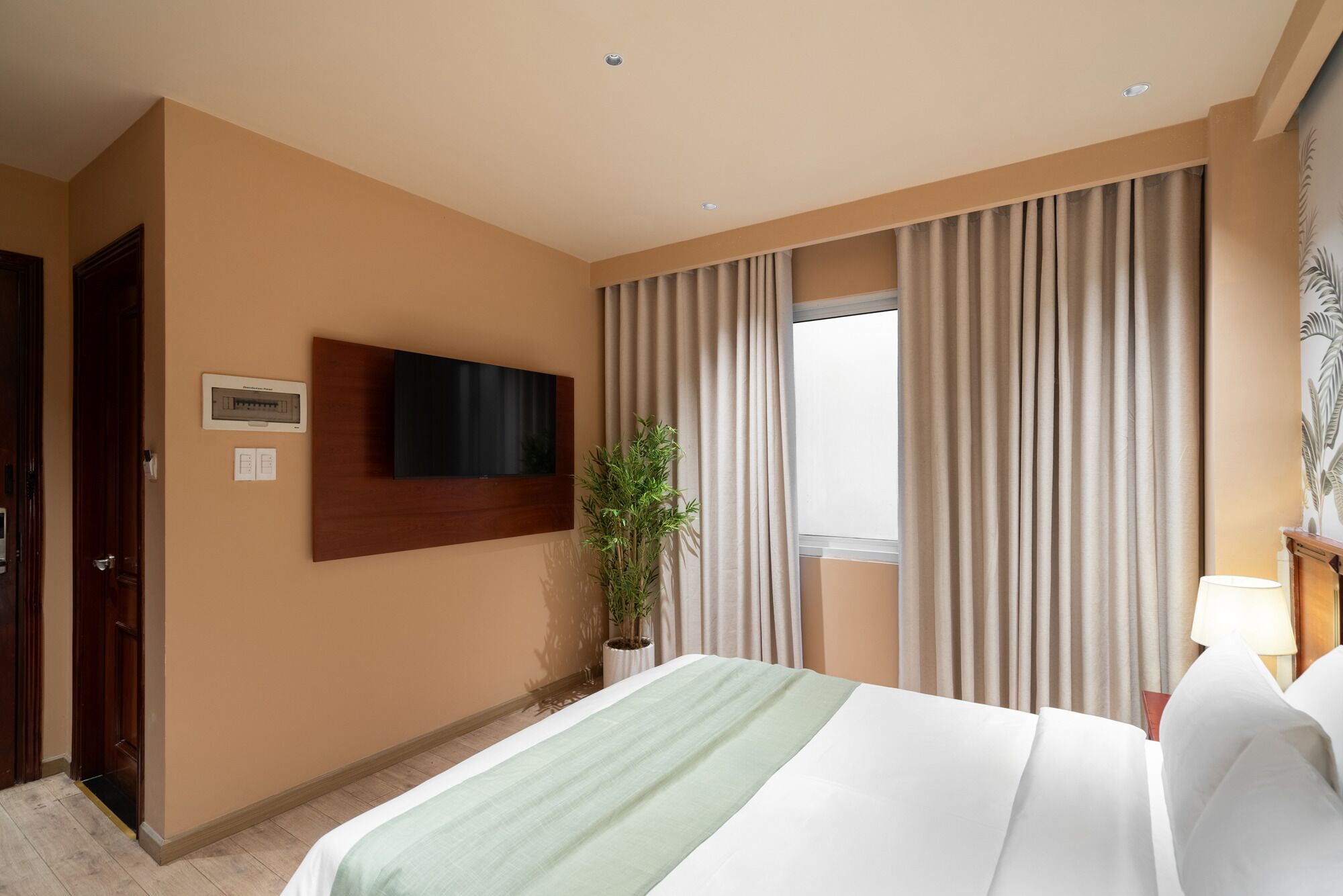 A hotel room with a bed, a TV mounted on the wall, a window with curtains, a potted plant, and a door.