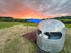 Property grounds - Rare Airstream with private pitch, deck, firepit and optional hot tub and sauna (Devon)